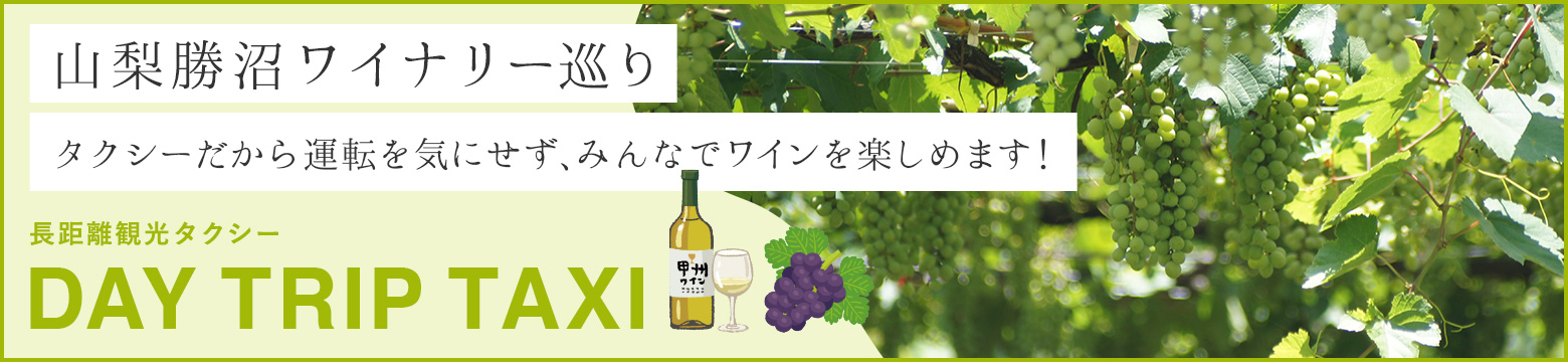 長距離観光タクシー DAY TRIP TAXI